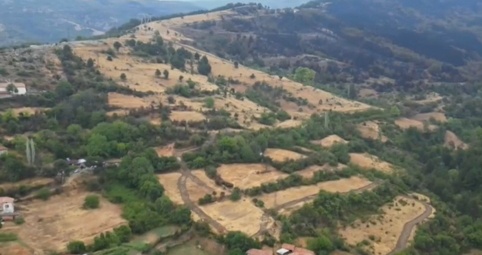 155 хиляди декара са унищожените площи от горски пожари у