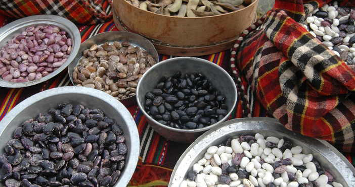 Родопското село Смилян посреща днес гости от цялата страна на