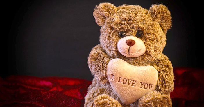 Мая Иванова Снимка pixabayНа 27 октомври десетки държави отбелязват Международния