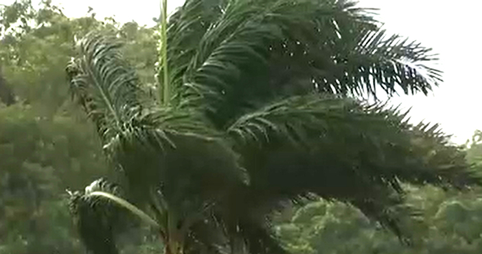 Мая Иванова Кадър Нова ТВУраган до най високата пета степен се