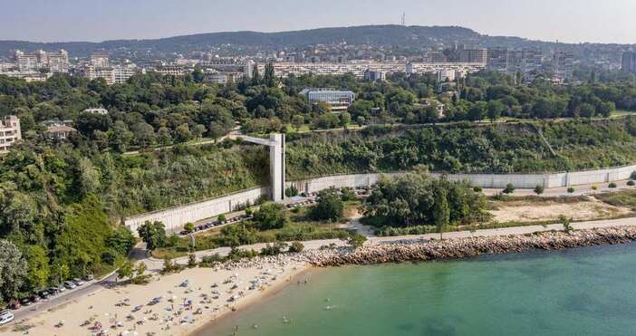 Преместват три дървета във Варна заради панорамна асансьорна кулаНа 28