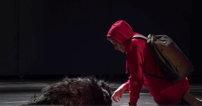 Кученце от Общинския приют за безстопанствени кучета в село Каменар