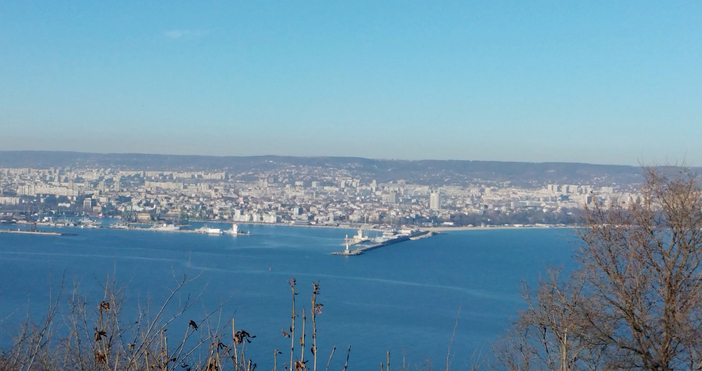 Трицона калкан меджид и попчета са сред най стресираните морски видове