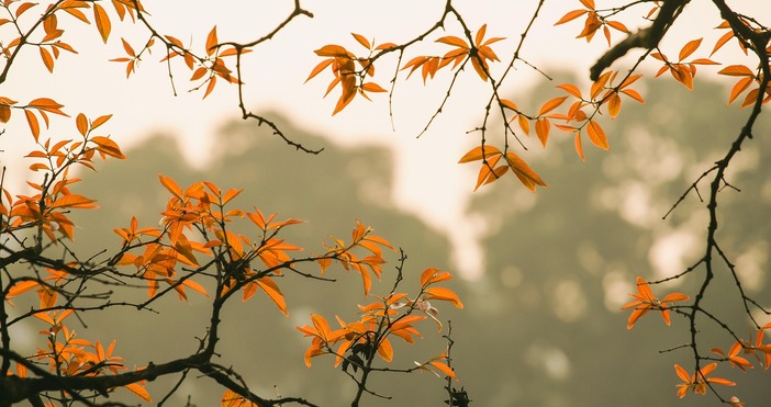 Предстои хубав уикенд приятни почивни дни температурите рязко ще