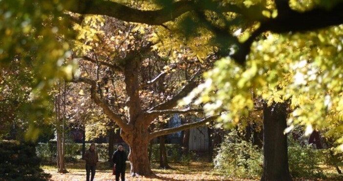 През нощта срещу неделя над почти цялата страна времето ще