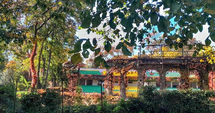 Днес времето ще е слънчево с разкъсана висока облачност преди обяд