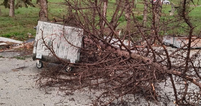 Бул Владислав Варненчик 257 267 паднало дърво и няколко