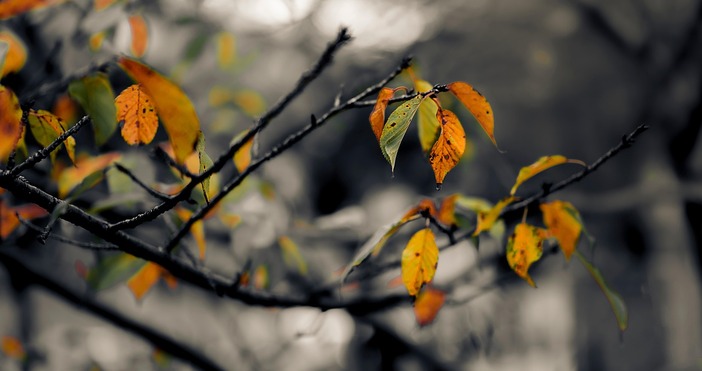 През нощта ще бъде предимно ясно и почти тихо На