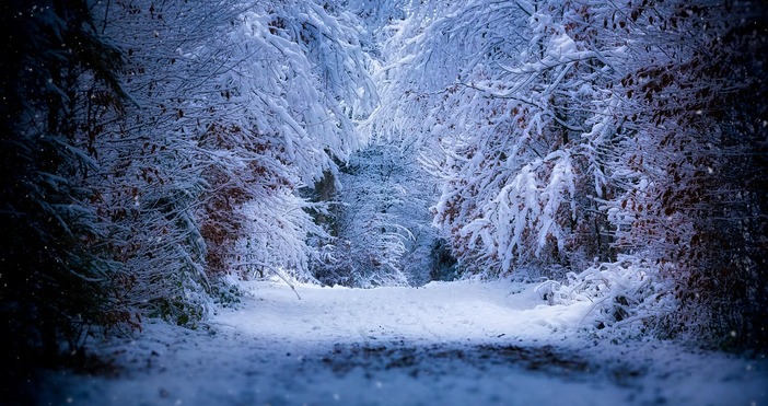 Сезонните прогностични модели показват засилване на атмосферното блокиране над северните