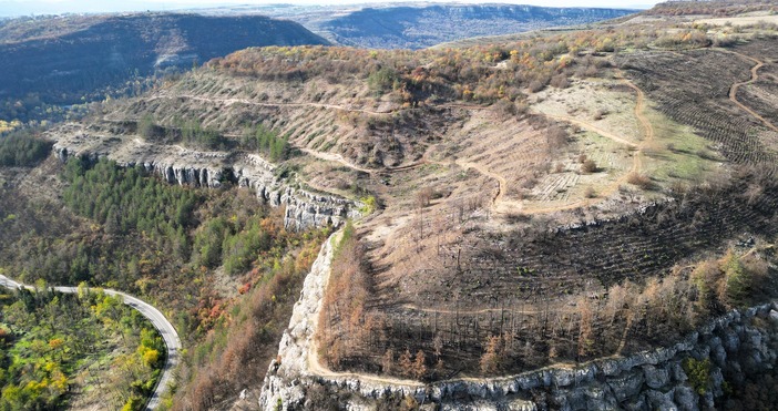 Снимки ФейсбукЗалесяването на Гарга баир започва през ноември Това обяви