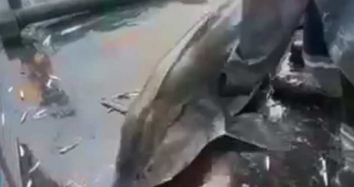 Екипажът на рибарския кораб Свети Никола 1 тази сутрин направи