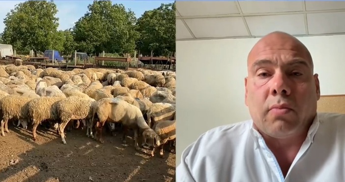 Министерството на земеделието съобщи преди дни че ваксинация срещу шарка