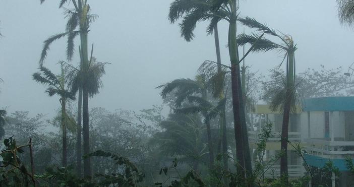 Съдът библиотеката училищата търговската зона в центъра на града и