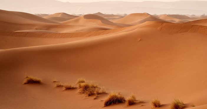 Във втората половина на XXI век повишаването на глобалните температури