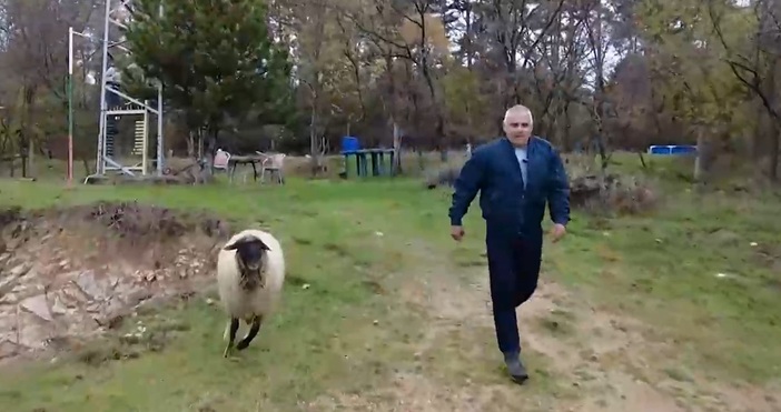 Денят на Дончо започва със сутрешен крос но компания му