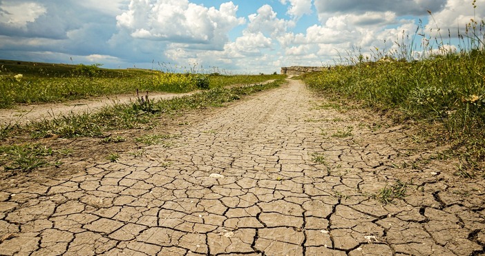 Англия може да се сблъска с най тежката суша от десетилетия
