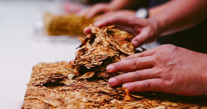 Гранични полицаи от Гюргево са открили след проверка на микробус