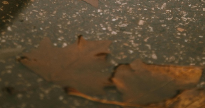 ПекселсВ понеделник – 10 ноември времето ще бъде облачно на