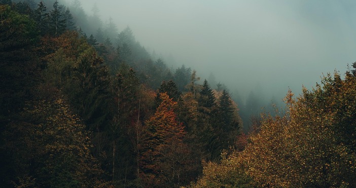 След поредицата от дъждовни дни от вторник 11 ноември валежите