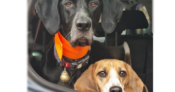 През изминалия уикенд екип на Спасителен клуб за Бъдеще се