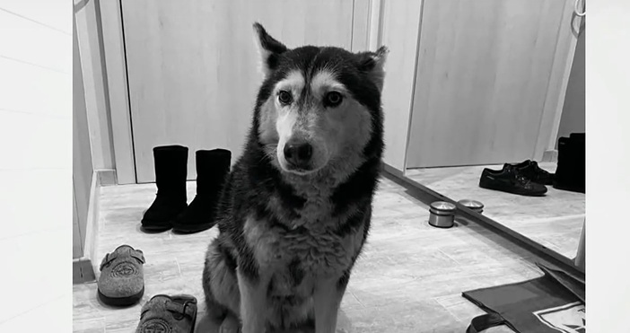 стопкадър Нова твБлизо 170 хиляди души са се подписали до