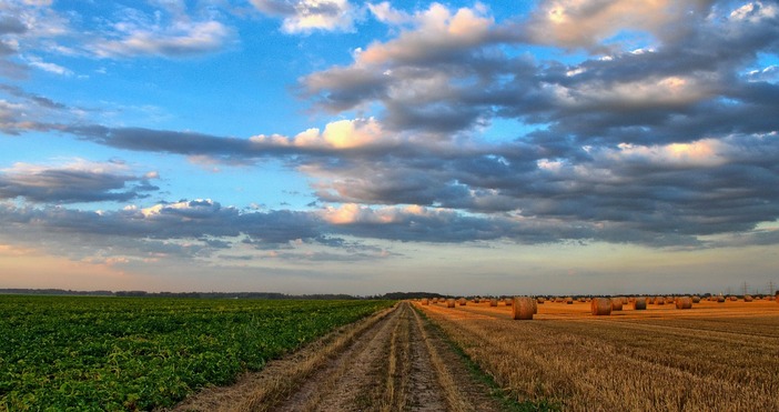 Земеделските фондове и зърнопроизводителите в сблъсък за едногодишните договориПромените в