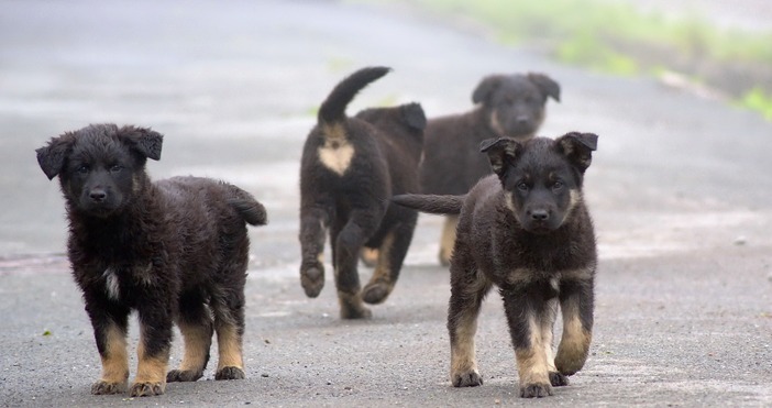 Обществена поръчка за строително монтажни работи включващи комплекс от планирани и