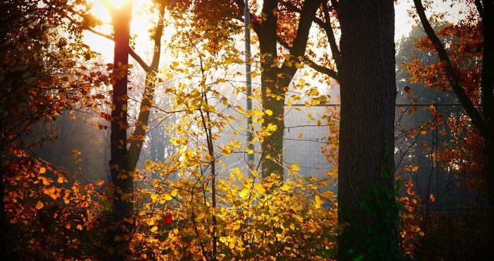 Днес ще бъде предимно слънчево но до обяд по долното