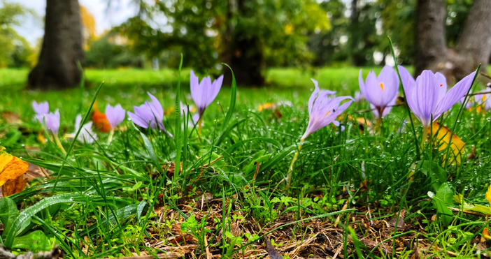 Чувствително повишение на температурите ще има в следващите дни  В понеделник сутринта