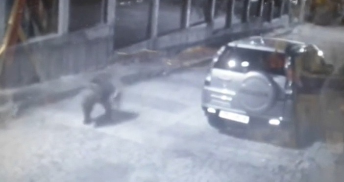 стопкадър бТВМечка е засечена няколко пъти в райони близо до