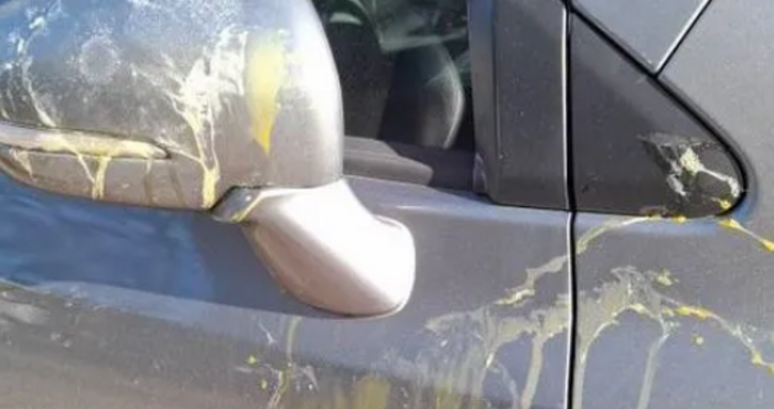 Пакост застигна дама от София – личната кола на Милена