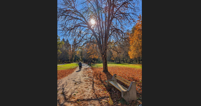 1000 лв глоба трябва да плати мъж който е попречил