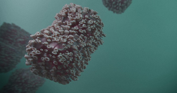 Това че се затоплят зимите определено не е много добре