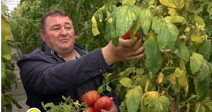 Българската асоциация на производителите на оранжерийна продукция предупреждава за ново