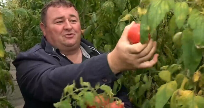 Българската асоциация на производителите на оранжерийна продукция предупреждава за ново