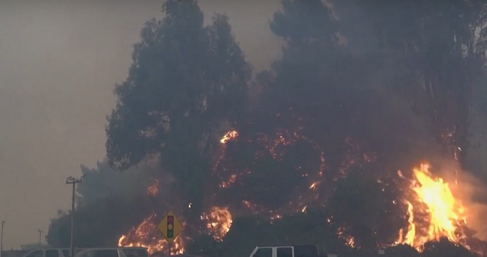 Заповед за оставане по домовете бе издадена в Лос Анджелис