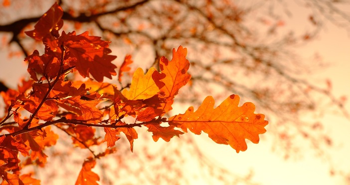 През нощта валежите ще спрат и облачността ще се разкъсва