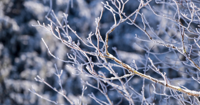 През нощта валежите ще спрат и облачността ще се разкъсва