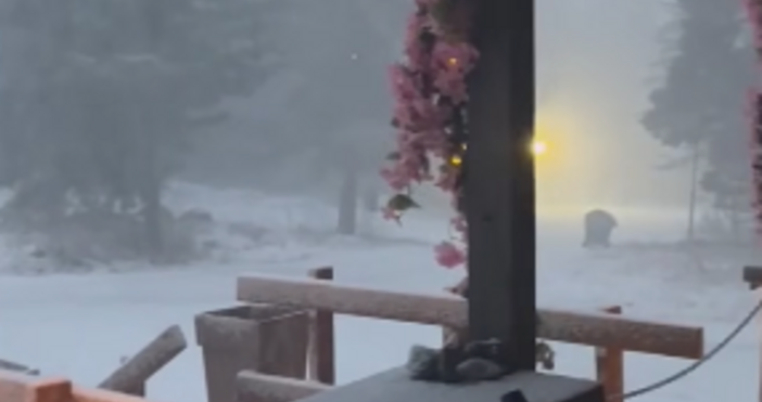 Побеляха планините в БългарияУсловията за туризъм в планините стават все по зимни и снежни