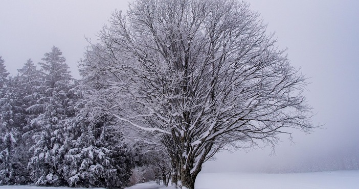 Седмицата започва със слънце и мъглиСлед изминалия валежен период в