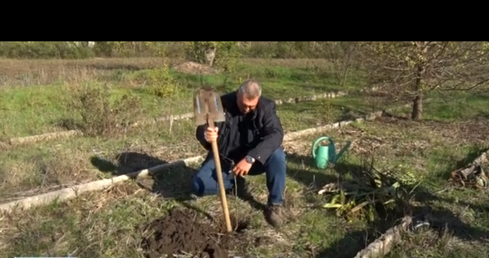 Ако сте решили да засадите плодни дръвчета точно сега е