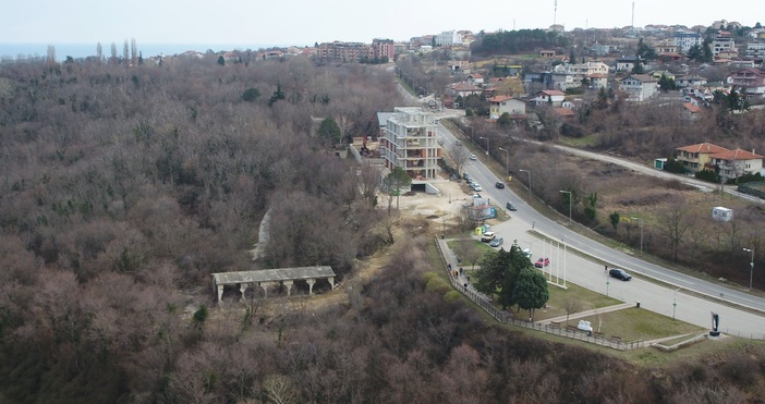 Не е констатирано премахване на големи дървета на терен в