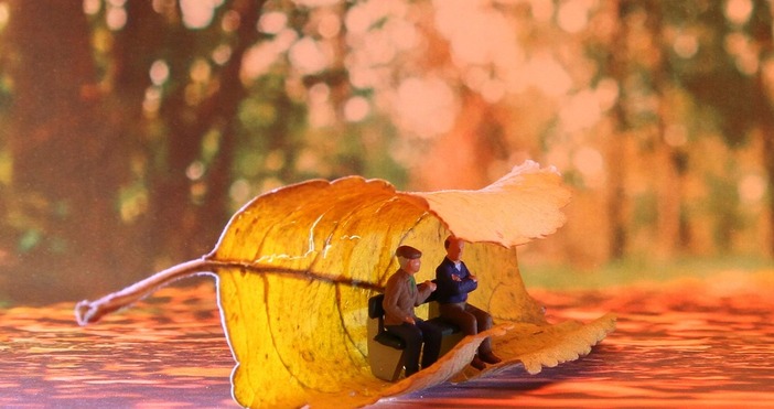 Как мога да проследя процеса след като предам документите си