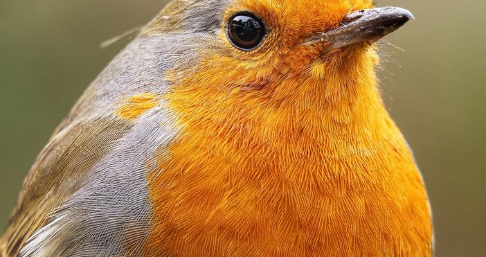 Ето хороскоп на Ламята за неделяОвенДнес Вашият любим човек дълго