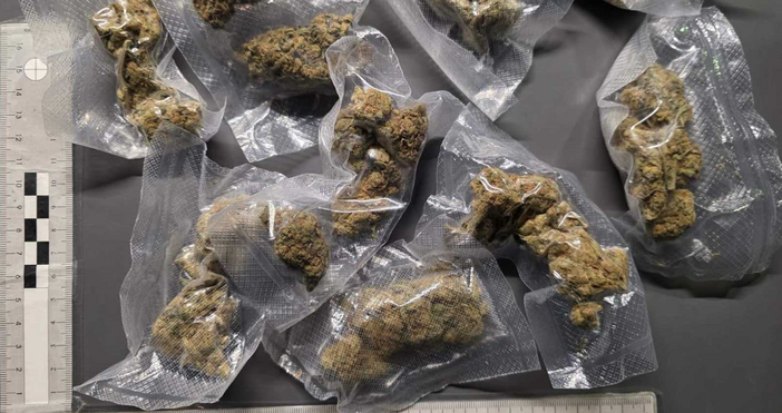 Снимки МВРРазлични по вид наркотици бяха иззети при поредната специализирана