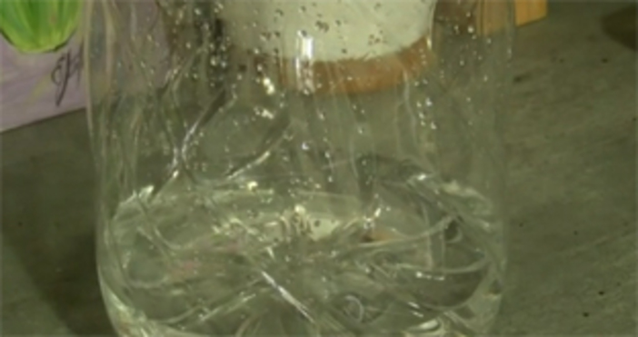 Жителите на село Масларево община Полски Тръмбеш са готови на