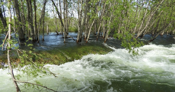 Странна история сполетя една от групите на ловната дружинка в