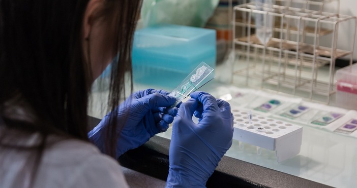 От началото на годината до 23 ноември в страната са