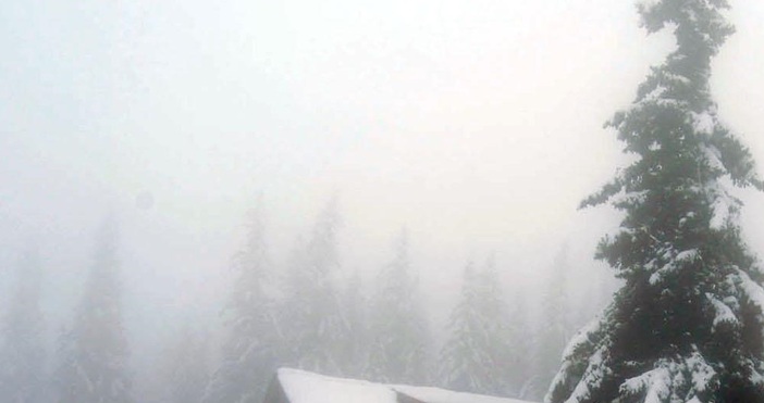 Не са добри условията за туризъм в планините посочват от