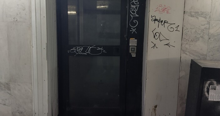 Варненка разказа любопитна но доста тъжна история в Забелязано във